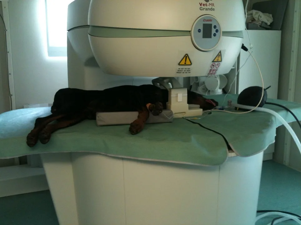aparat mri